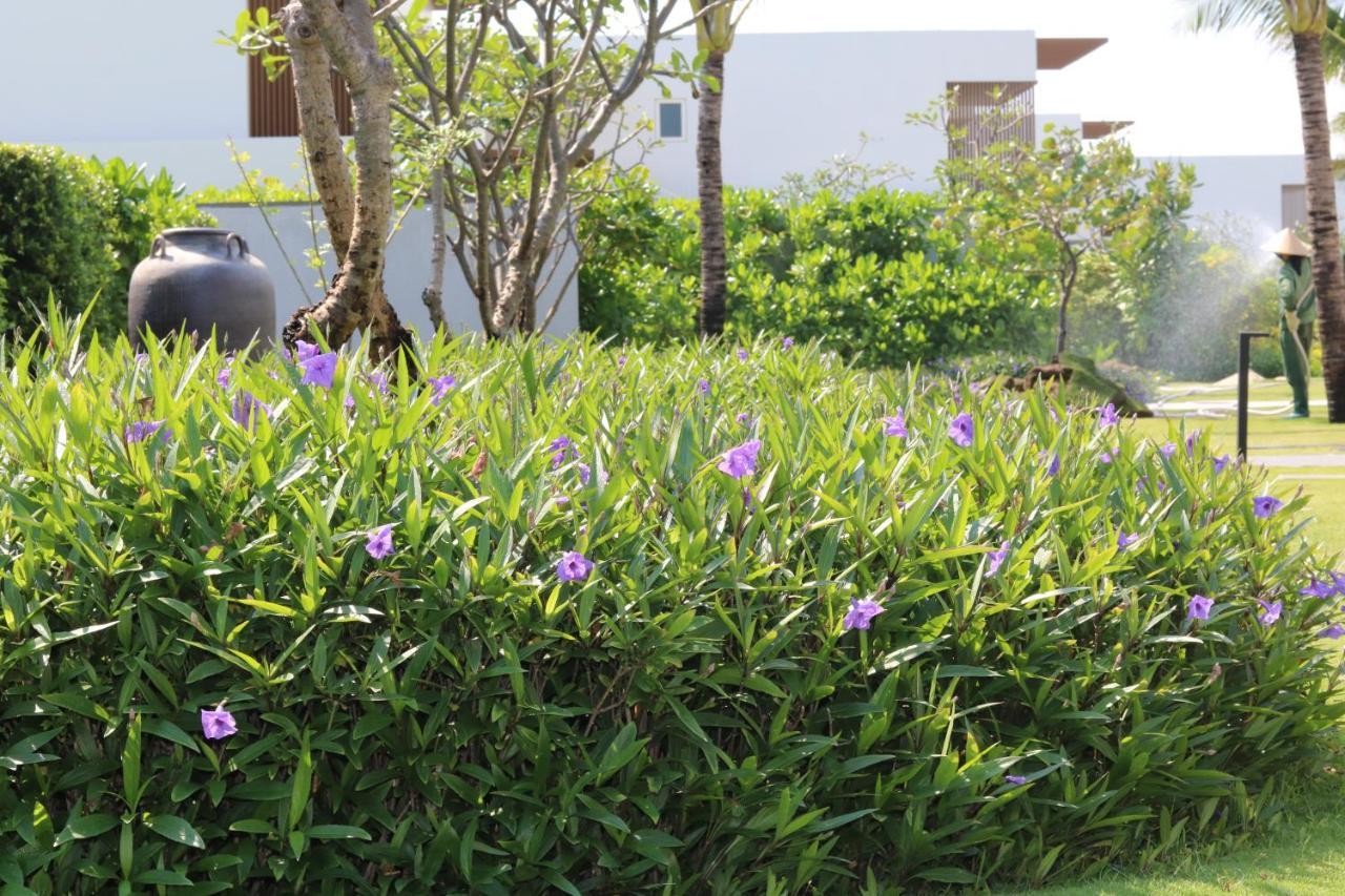 Alma Resort كام رانه المظهر الخارجي الصورة